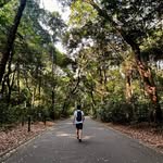 John Pipon - @johnpipon - Instagram