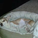 John Pires - @johnpires71 - Instagram