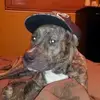 johnpiscopo512 - @johnpiscopo512 - TikTok