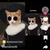 John Pitcock - @user4231431125511 - TikTok