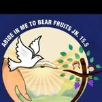 Catechetical Unit of St. John the Baptist Church- Pilerne - @sunday_catechetical_school - Instagram