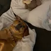 Johnplatter - @beaupro3 - TikTok