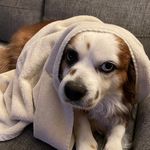 John Plauché - @juannie_p - Instagram