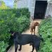 John Plett - Facebook