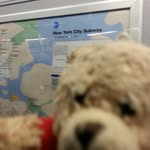 John Plett - @johnthetravelingbear - Instagram