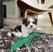 John Plett - Facebook