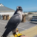 John Plotts - @john.plotts - Instagram
