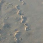 John Plotts - @johnplotts - Instagram