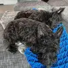 johnpoarch306 - @johnpoarch306 - TikTok
