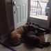 John Poelstra - Facebook