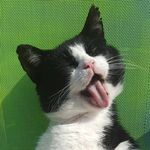 John Poelstra - @poelstrajohn - Instagram
