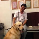 John Poh - @johnpoo3431 - Instagram
