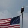 John Pole - @johnpole15 - TikTok