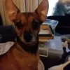 johnpolen35 - @johnpolen35 - TikTok