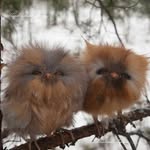 John Poletto - @john.poletto.96 - Instagram