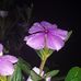 John Poli - Facebook