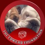John Pollard - @pollard.john - Instagram