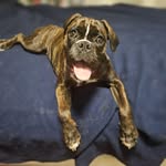 John Pollard - @johnpollard - Instagram