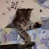 John Pooler - @johnpooler3833 - TikTok