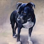 John Poppy - @john.poppy.908 - Instagram