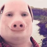 John Pork - @john.pork_is.calling - Instagram