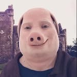 John Pork - @john.pork.is.calling.daily - Instagram