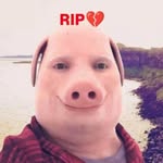 John Pork - @dr.ragebait - Instagram