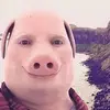 John Pork - @johnporkofficial - TikTok