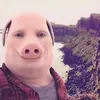 John Pork - @johnpork190 - TikTok