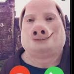 John Pork - @johnpork6900 - Instagram
