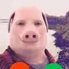 John Pork - @myclitfelloff - TikTok