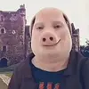 John Pork - @the_johnpork - TikTok