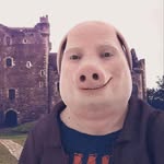 John Pork Elite - @johnporkelite_rec - Instagram