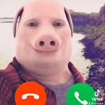 John Pork is CALLING - @johnporkofficial9 - Instagram