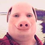 John Pork United 🐷 - @john.pork.united - Instagram
