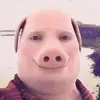JohnPork - @johnporkgoat - TikTok