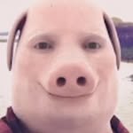 john.pork.daily - @johnporkdaily6 - Instagram