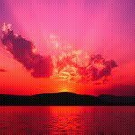 John Jairo Bernal Bustamante - @johnporro - Instagram