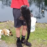 John Posey - @john_posey_0419 - Instagram