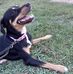 John Posey - Facebook