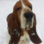 john post - @johnpost747 - Instagram