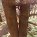 John Postiglione - Facebook