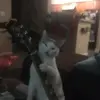 John Potee - @john.potee - TikTok
