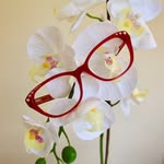 John Powell Opticians - @johnpowellopticians - Instagram