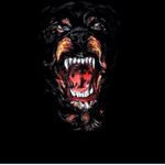 John Prather - @johnprather5 - Instagram