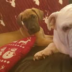 John Pratt - @johnpratt1872 - Instagram