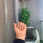 John Pretty Nancy - @nancyike25 - Instagram