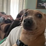 John Prettyman - @johnv.prettyman - Instagram