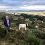 John Pring - @johnpring50 - Instagram