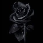 john prins - @john.work6969 - Instagram